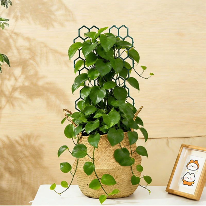 πΏ Honeycomb Plant Trellis β Rust-Proof, Stackable, Easy Install π