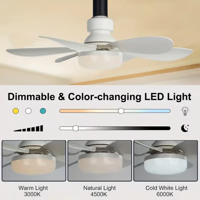 2-in-1 Portable Ceiling Fan & Light With Remote Control