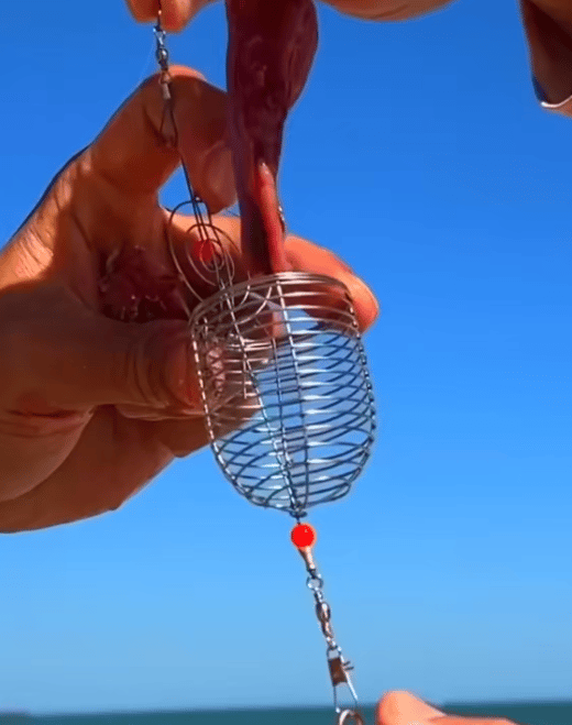 Stainless Steel Fishing Bait Cage Feeder – Durable Fish Attracting Rig Attachment