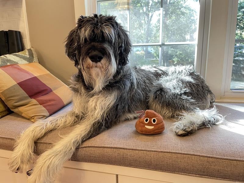 🎁2026 HOT SALE💥Funny  Poop Plush Toy – Makes Fart Sounds!