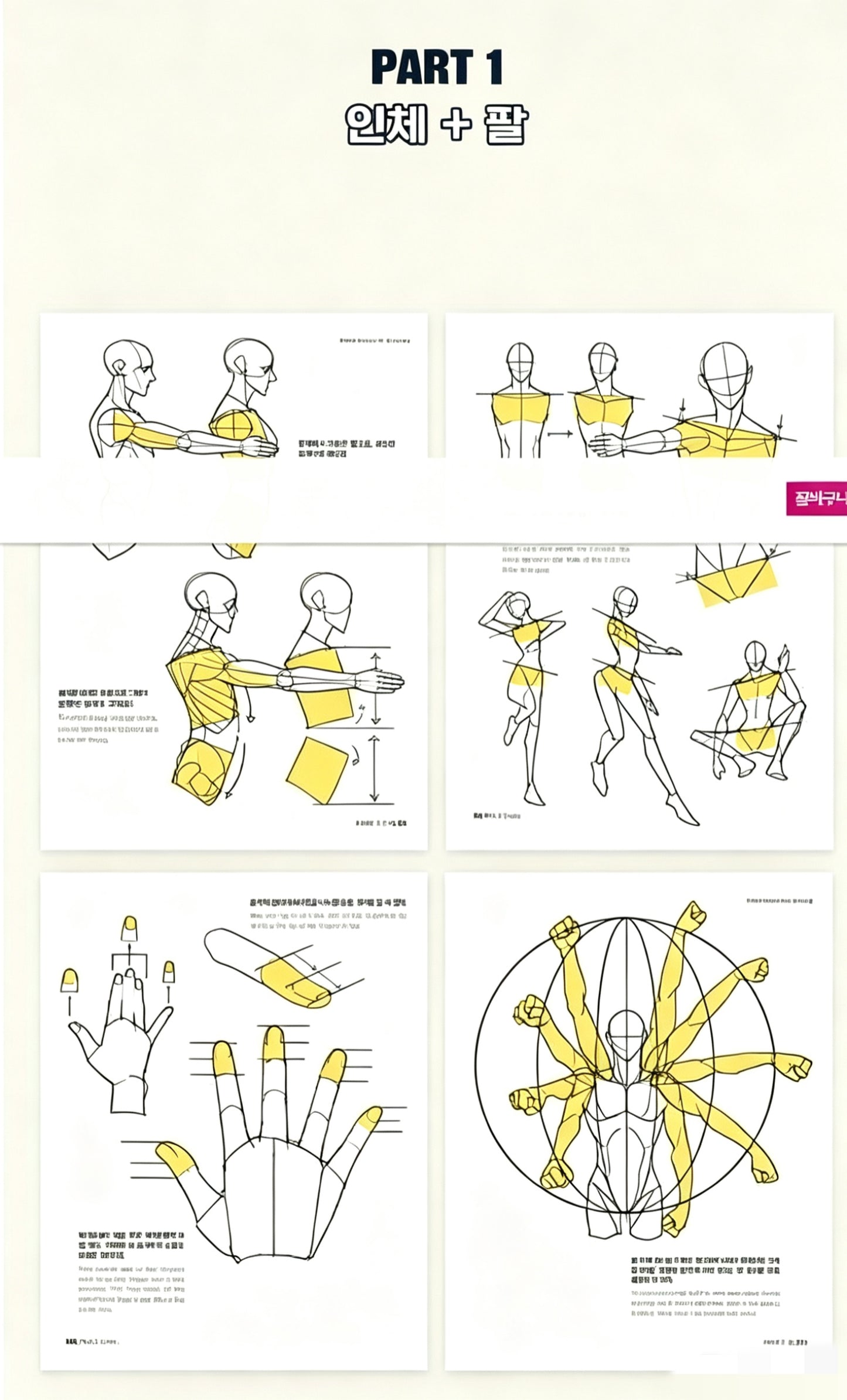 Secret Character Drawing + Point Character Drawing Set | Korean