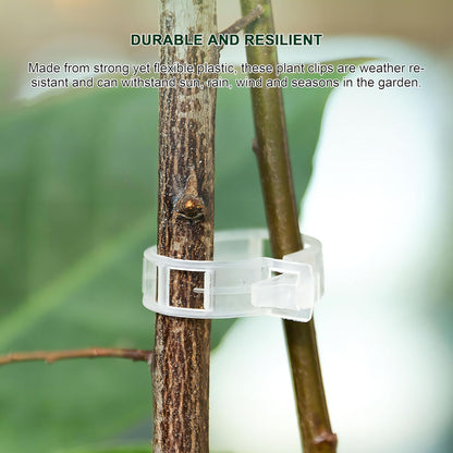 🔥Hot Sale 49% off🌟🌿 100 Counts Plant upright growth support device