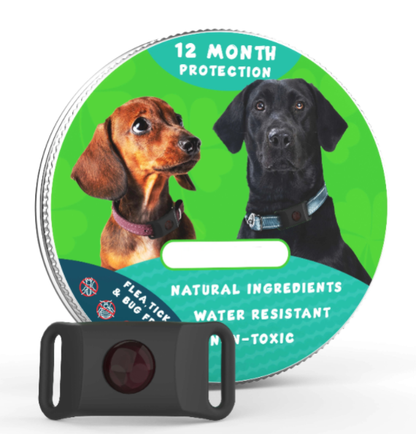 🐕12 Months Flea and Tick Free