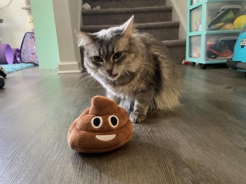 🎁2026 HOT SALE💥Funny  Poop Plush Toy – Makes Fart Sounds!