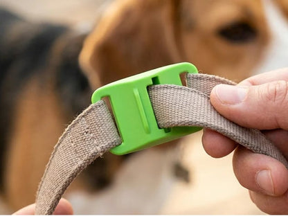 🐕12 Months Flea and Tick Free