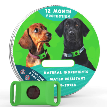🐕12 Months Flea and Tick Free