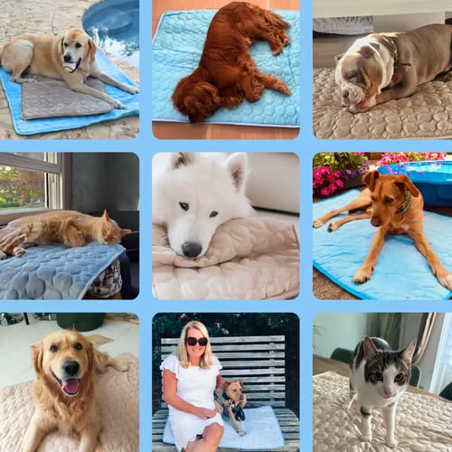 🐾Pet Cooling Mat for Summer