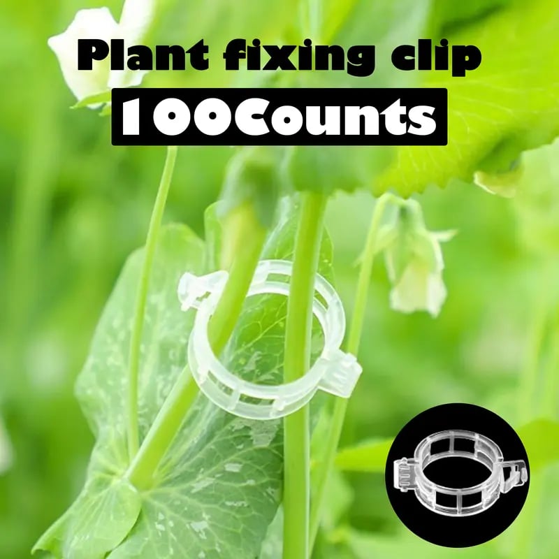 🔥Hot Sale 49% off🌟🌿 100 Counts Plant upright growth support device
