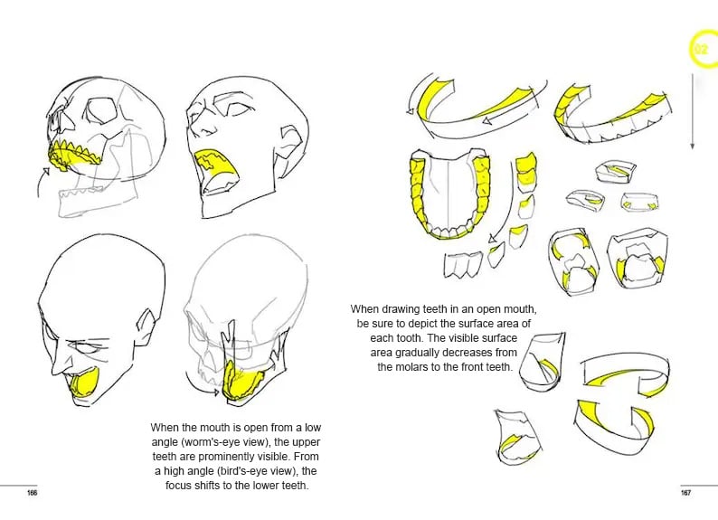 Secret Character Drawing + Point Character Drawing Set | Korean