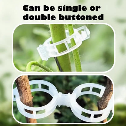 🔥Hot Sale 49% off🌟🌿 100 Counts Plant upright growth support device