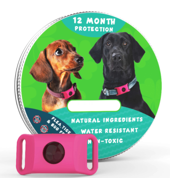 🐕12 Months Flea and Tick Free