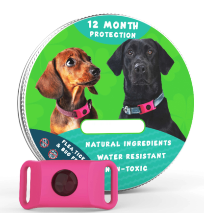 🐕12 Months Flea and Tick Free