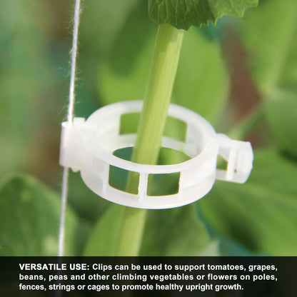 🔥Hot Sale 49% off🌟🌿 100 Counts Plant upright growth support device