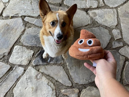 🎁2026 HOT SALE💥Funny  Poop Plush Toy – Makes Fart Sounds!