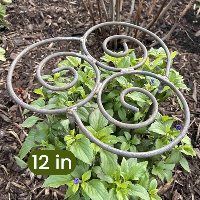 Plant Support